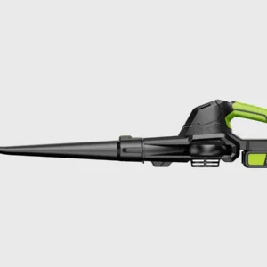 electric cordless dust blower